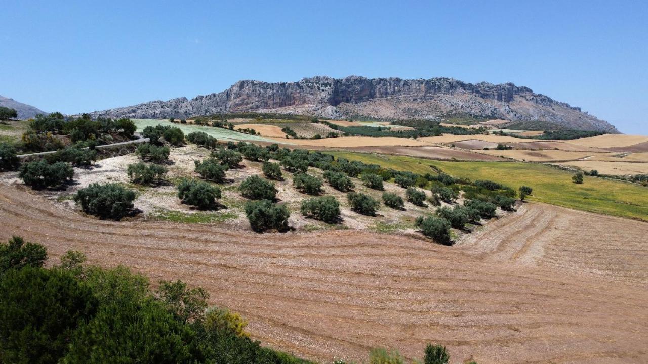 La Posada Del Torcal Villanueva de la Concepción Екстериор снимка
